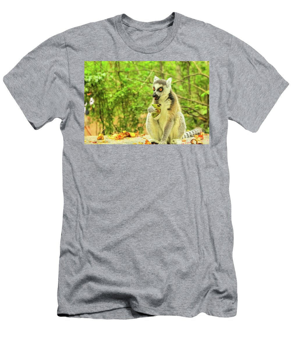1 Lemur of Madagascar Benny Marty T-Shirt