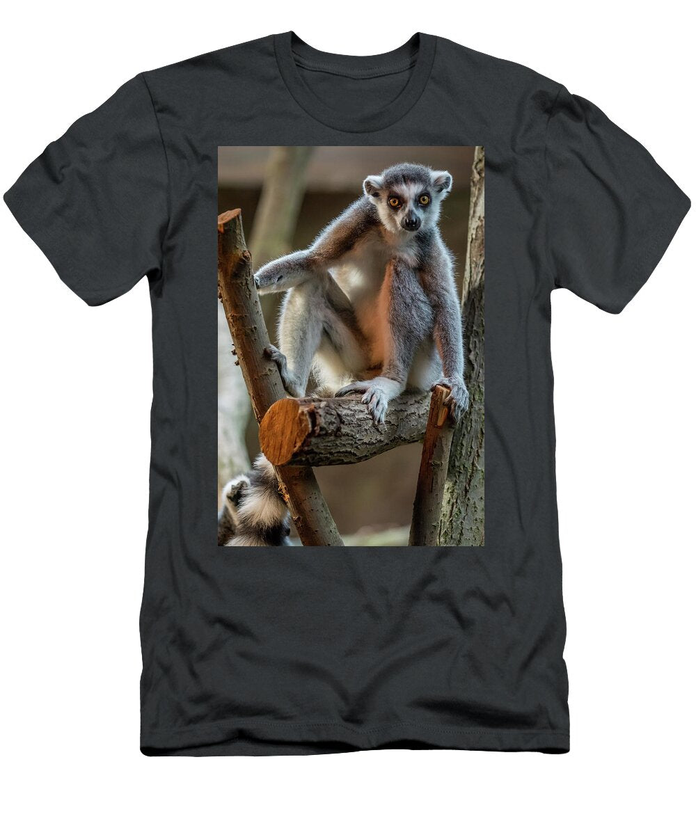 1 Ring Tailed Lemur Libor Vrska T-Shirt