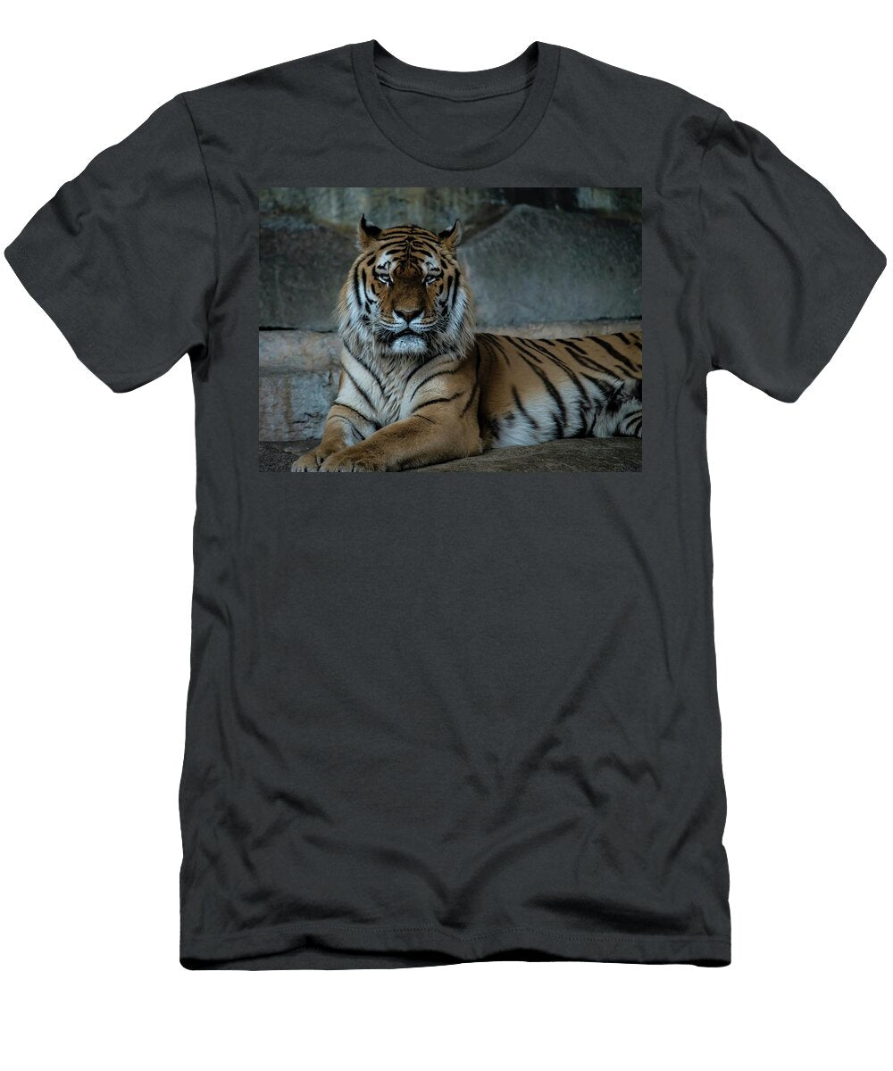 514 Beautiful Wildlife Photography Nature Photography T-Shirt