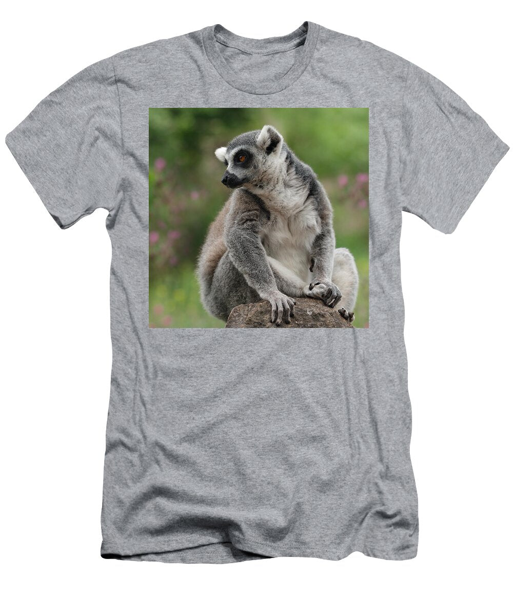 A Ring Tailed Lemur Toutouke a Y T-Shirt