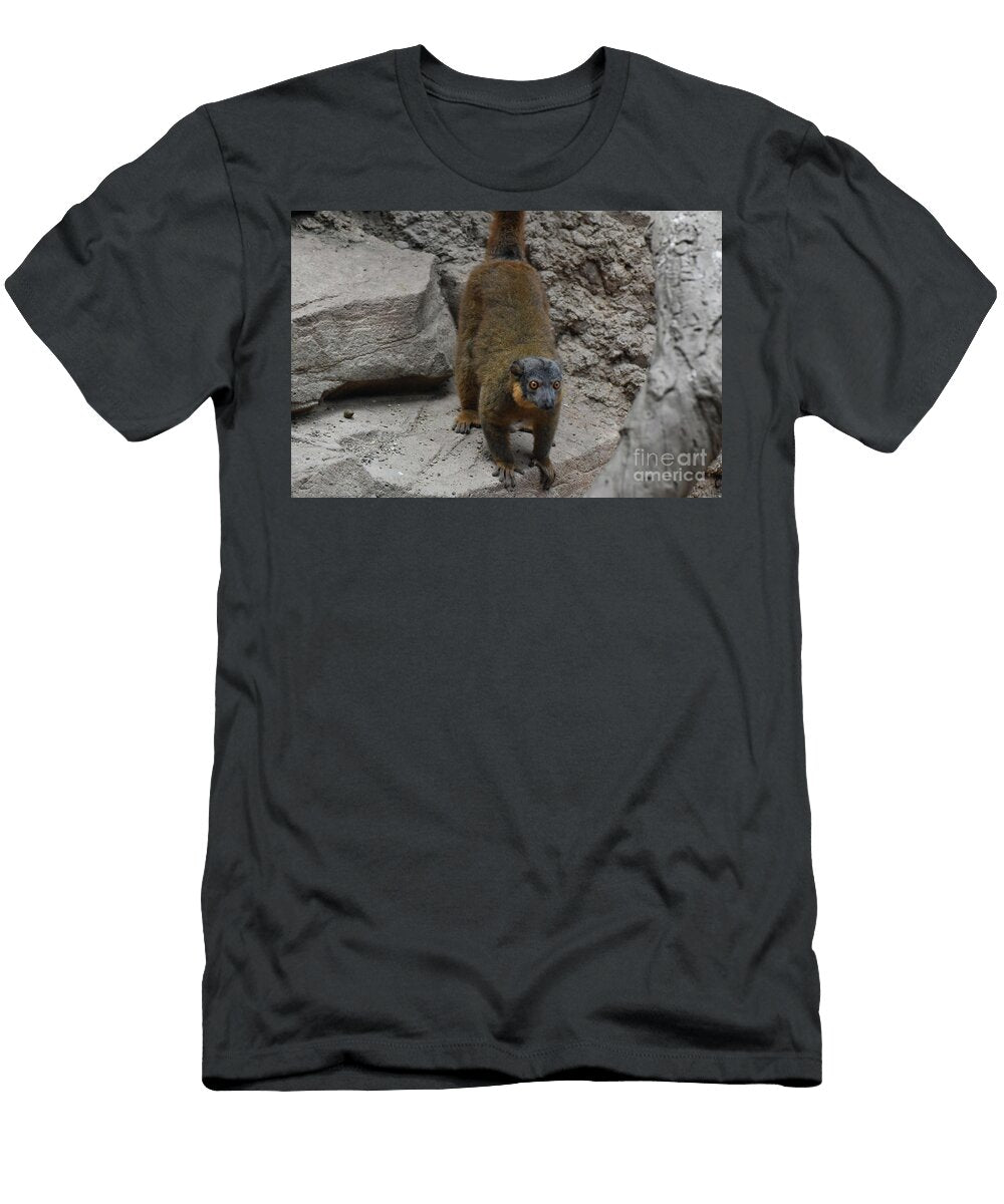 Adorable Brown Collared Lemur on a Rock Dejavu Designs T-Shirt