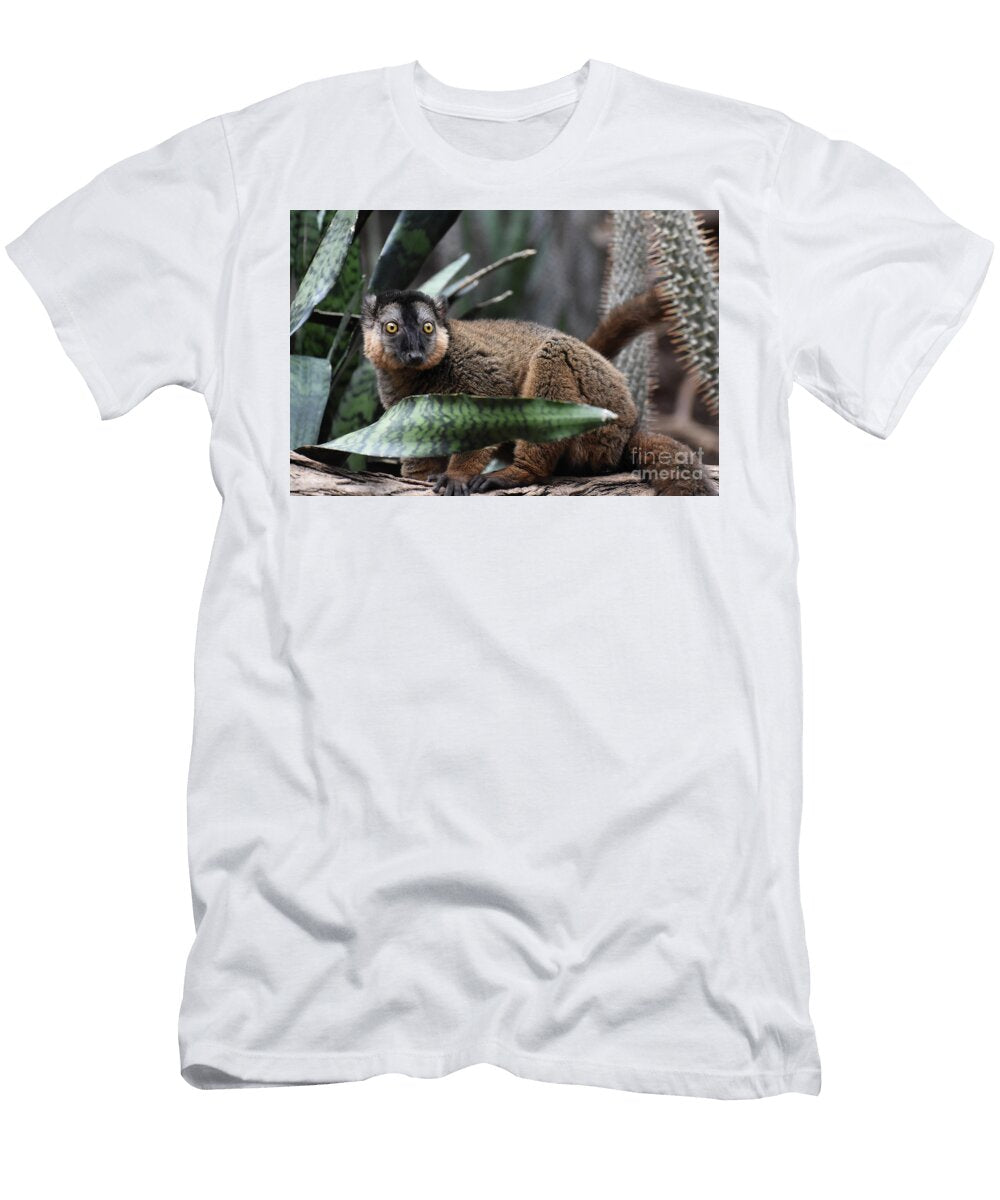 Amazing Brown Collared Lemur with a Funny Face Dejavu Designs T-Shirt