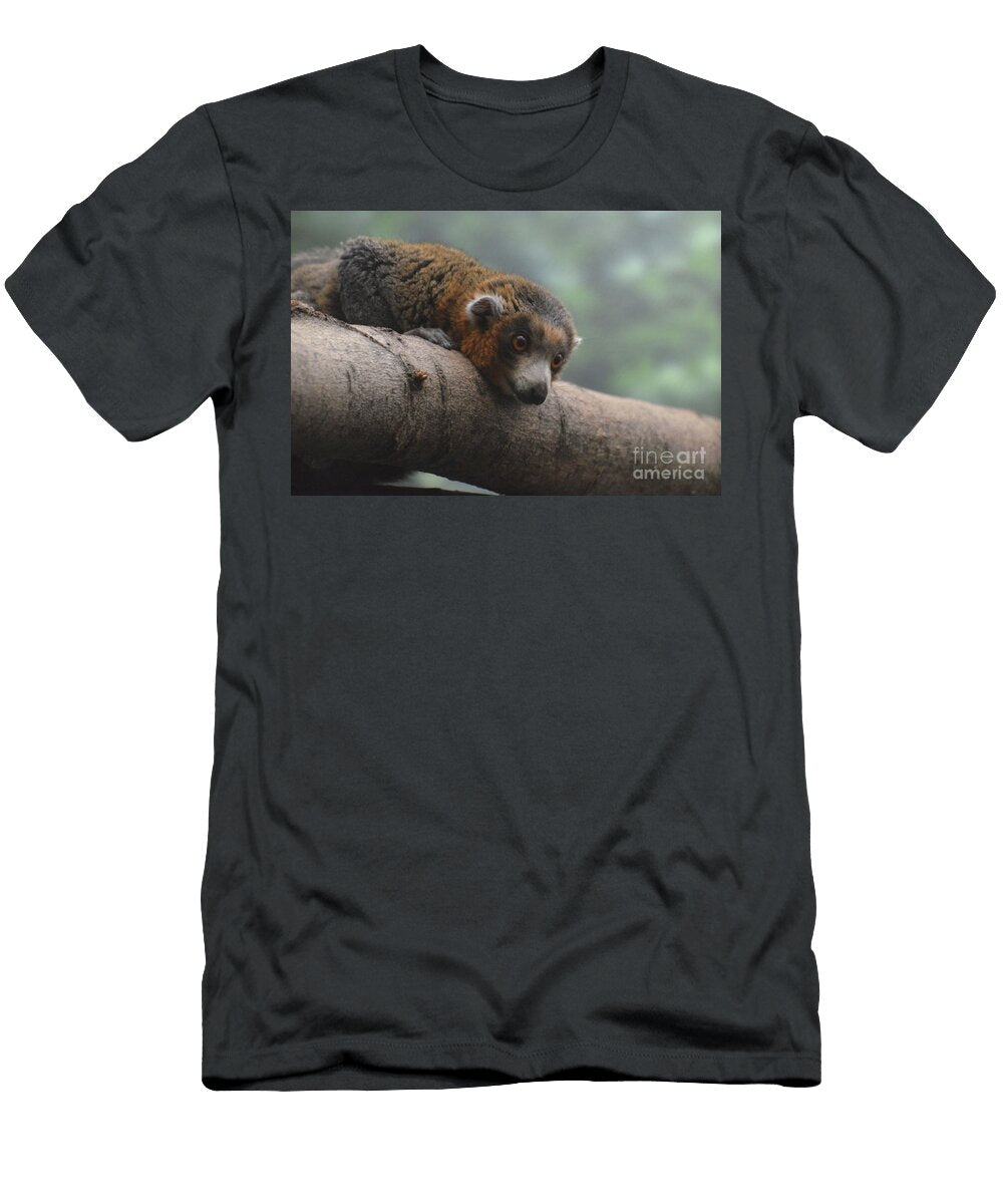 Amazing Brown Lemur with His Head on a Log Dejavu Designs T-Shirt