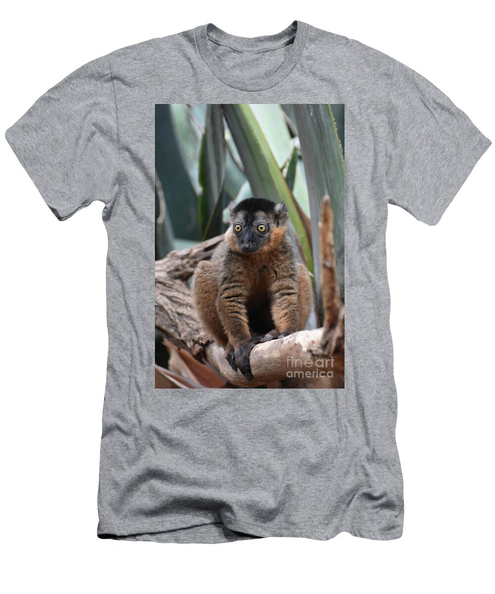 Gorgeous Collared Lemur with Bulging Eyes Dejavu Designs T-Shirt