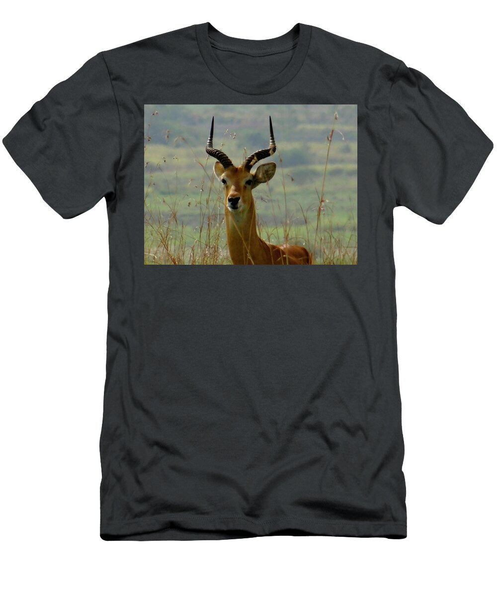 Hiding in the Grass Exploramum Exploramum T-Shirt