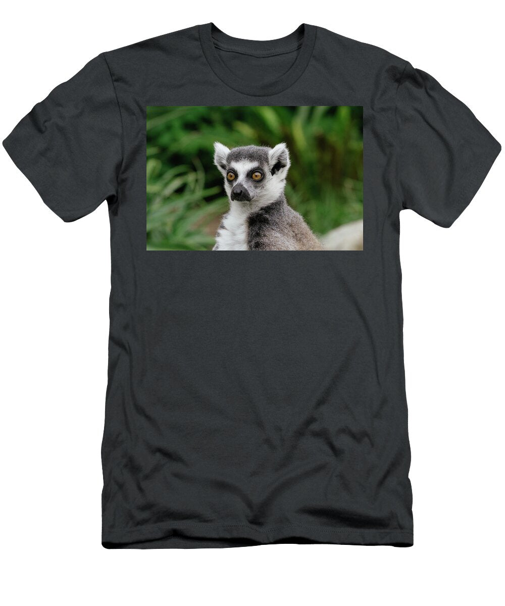 Lemur Daydream Stuart Mitchell T-Shirt