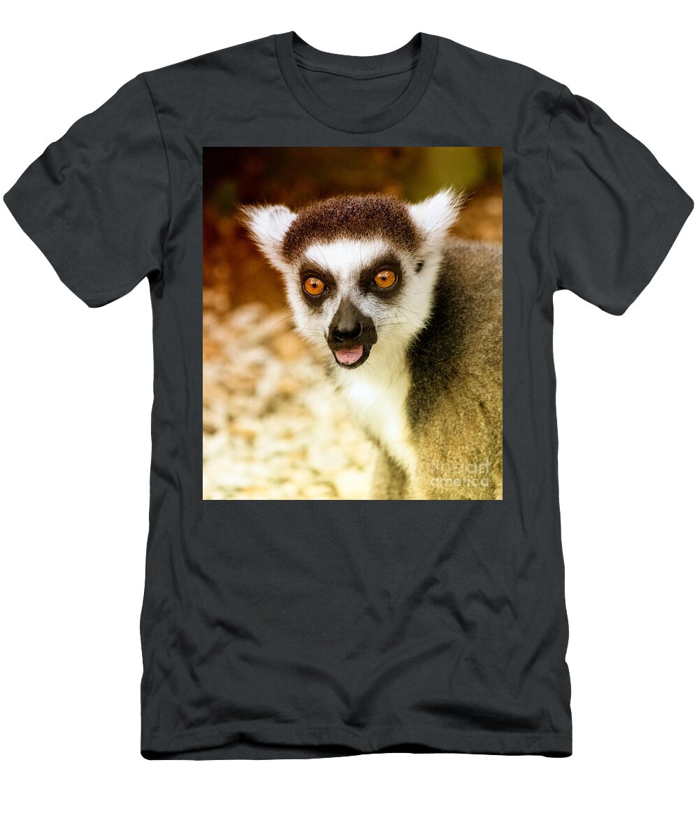 Lemur Nick Eagles T-Shirt