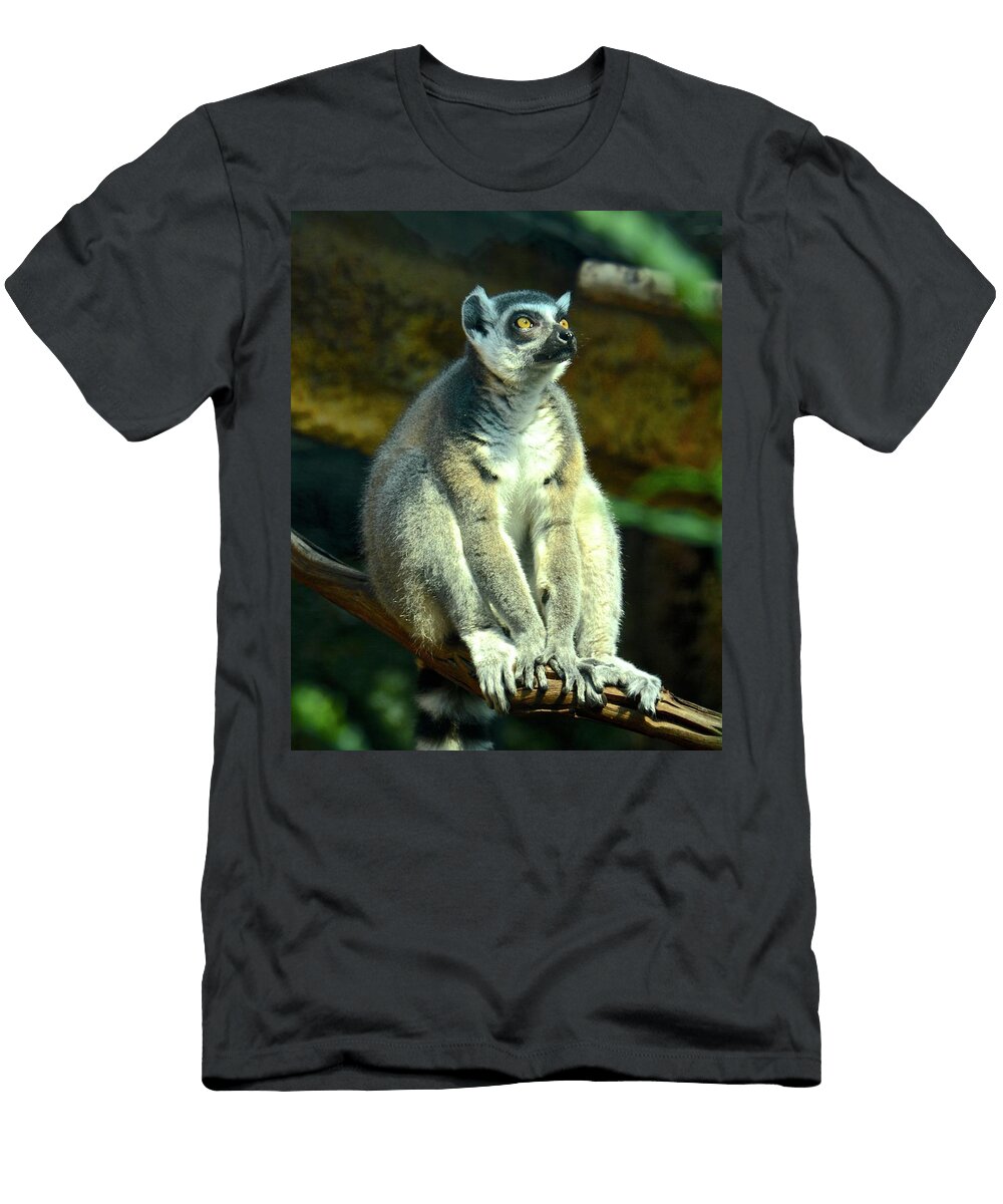Ring Tailed Lemur Carol Bradley T-Shirt
