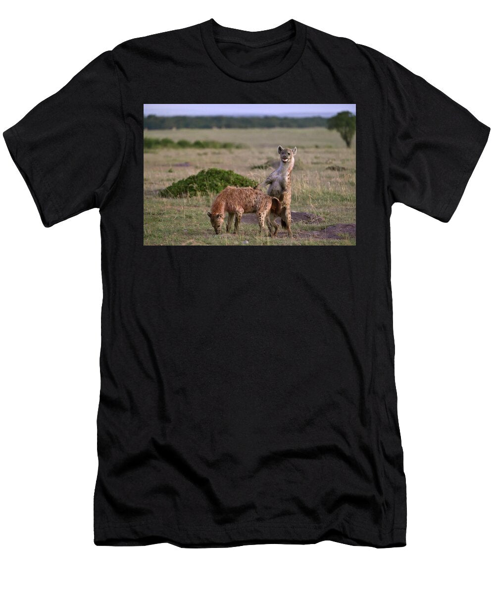Spotted Hyena Mating Masa Mara Loic Poidevin Natureplcom T-Shirt