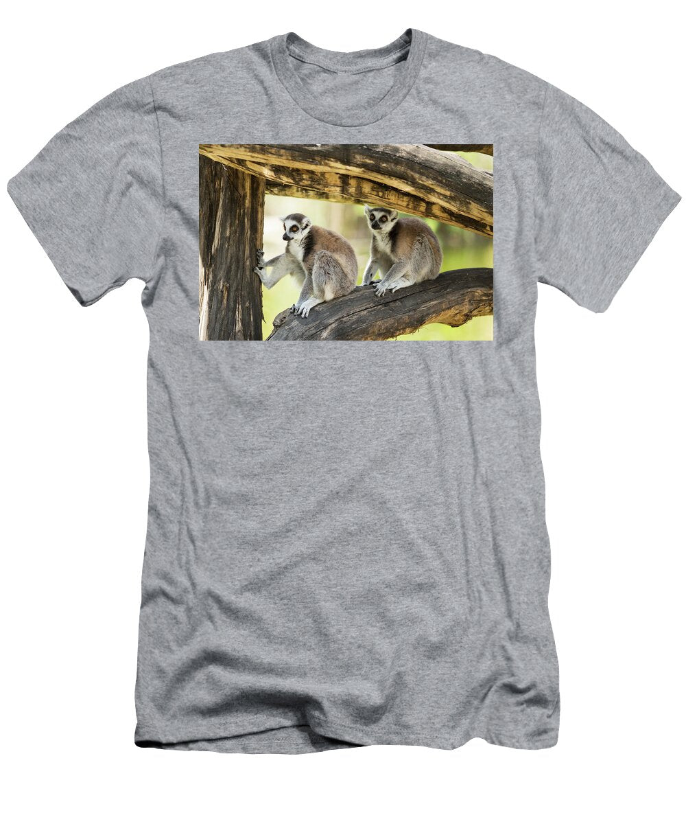 Two Ring Tailed Lemurs Lori Rider T-Shirt